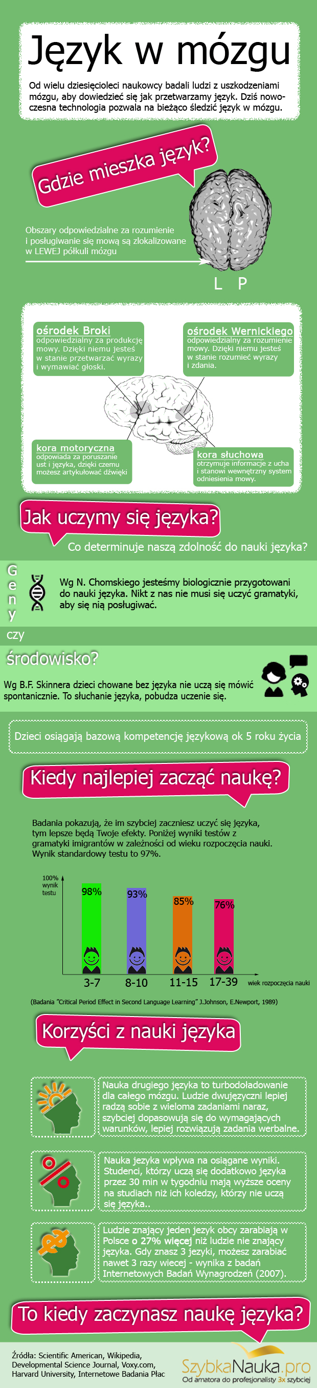 Nauka języków obcych a mózg obrazek przedstawiający dane o nauce języków obcych i mózgu