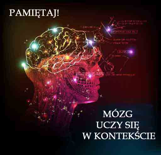 obraz mózgu, który uczy się słowek w kontekście