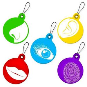 skuteczna nauka styl nauki skuteczna nauka to nauka w Twoim stylu