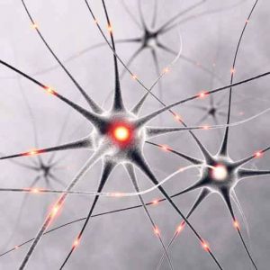 czytanie fotograficzne wykorzystuje większy potencjał mózgu