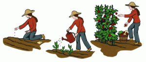 rola nauczyciela językowego