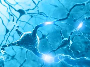 czytanie fotograficzne ślady pamięciowe Czytanie fotograficzne a ślady pamięciowe w mózgu