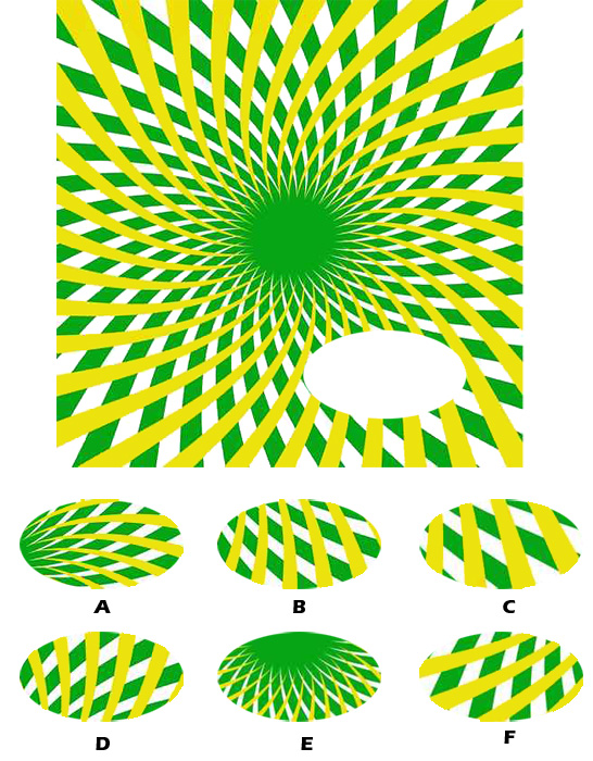 inteligencja-raven-2