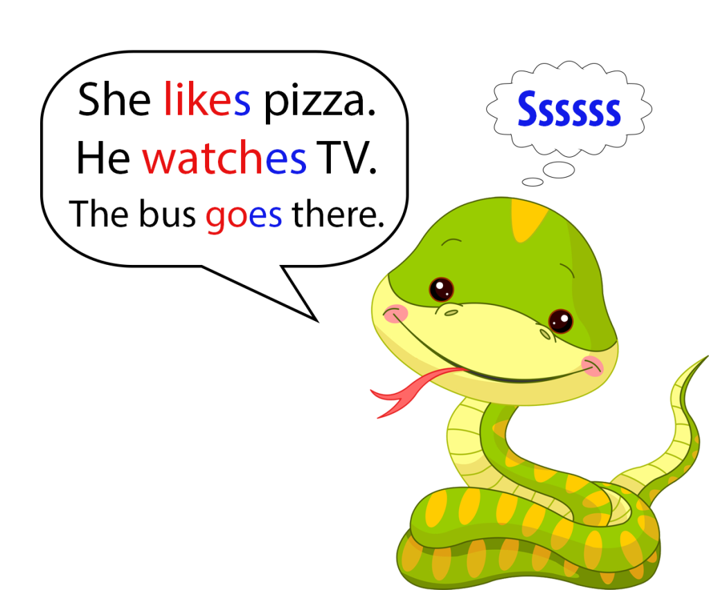 Present Simple budowa Present Simple